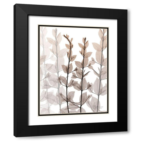 Dry Embrace 1 Black Modern Wood Framed Art Print with Double Matting by Koetsier, Albert