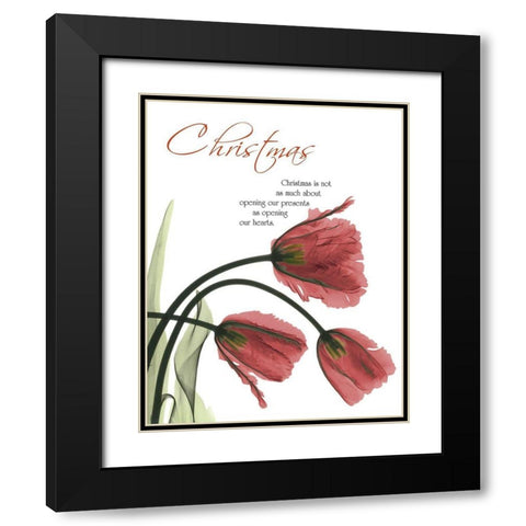 Christmas Tulips 1 Black Modern Wood Framed Art Print with Double Matting by Koetsier, Albert