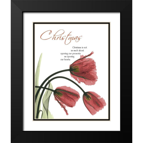 Christmas Tulips 1 Black Modern Wood Framed Art Print with Double Matting by Koetsier, Albert