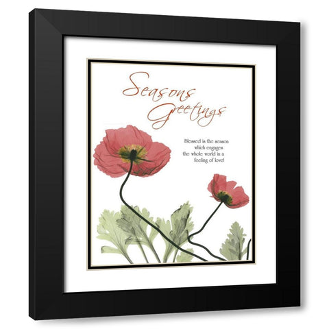 Holiday Poppies 1 Black Modern Wood Framed Art Print with Double Matting by Koetsier, Albert