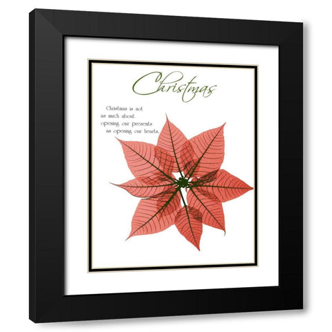 Seasonal Poinsettia 1 Black Modern Wood Framed Art Print with Double Matting by Koetsier, Albert