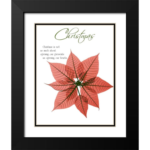 Seasonal Poinsettia 1 Black Modern Wood Framed Art Print with Double Matting by Koetsier, Albert