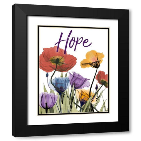 Hopeful Flowerscape Black Modern Wood Framed Art Print with Double Matting by Koetsier, Albert