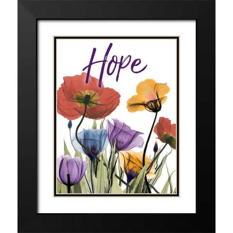 Hopeful Flowerscape Black Modern Wood Framed Art Print with Double Matting by Koetsier, Albert