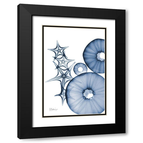 Indigo Aquatic Universe 1 Black Modern Wood Framed Art Print with Double Matting by Koetsier, Albert