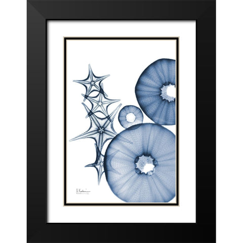 Indigo Aquatic Universe 1 Black Modern Wood Framed Art Print with Double Matting by Koetsier, Albert