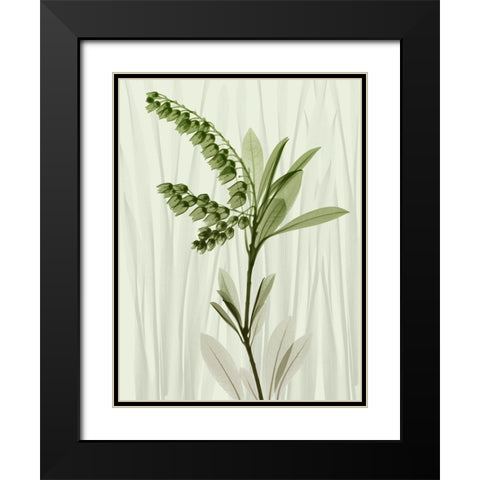 Radiant Greens 1 Black Modern Wood Framed Art Print with Double Matting by Koetsier, Albert