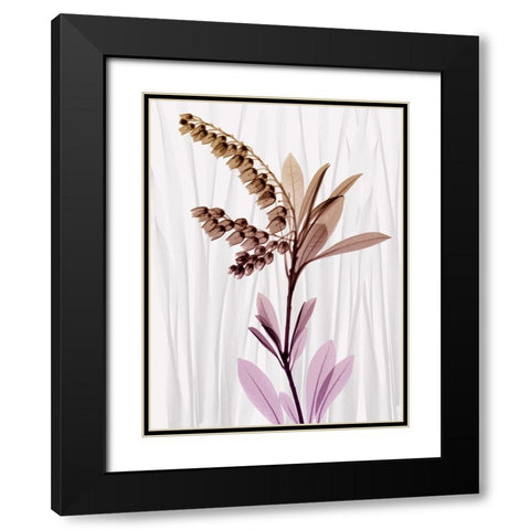 Radiant Snowdrops 1 Black Modern Wood Framed Art Print with Double Matting by Koetsier, Albert