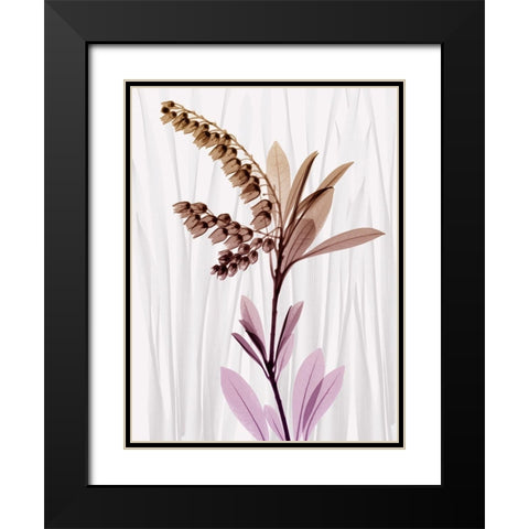 Radiant Snowdrops 1 Black Modern Wood Framed Art Print with Double Matting by Koetsier, Albert