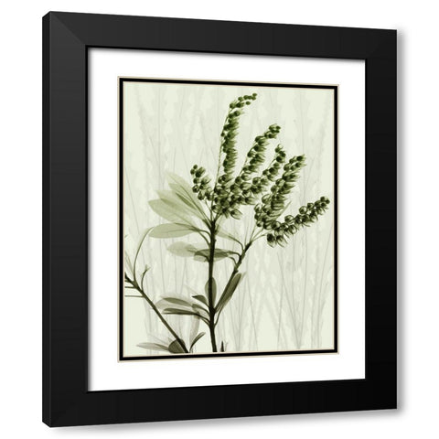 Radiant Greens 2 Black Modern Wood Framed Art Print with Double Matting by Koetsier, Albert