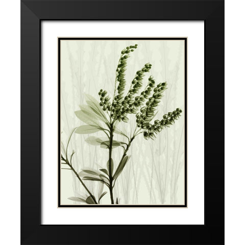 Radiant Greens 2 Black Modern Wood Framed Art Print with Double Matting by Koetsier, Albert