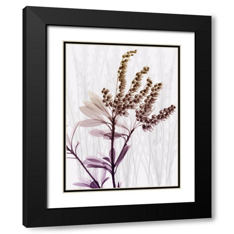 Radiant Snowdrops 2 Black Modern Wood Framed Art Print with Double Matting by Koetsier, Albert