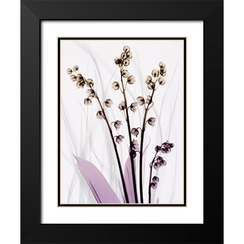 Radiant Snowdrops 3 Black Modern Wood Framed Art Print with Double Matting by Koetsier, Albert