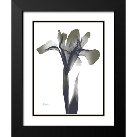 Ombre Olive Iris 1 Black Modern Wood Framed Art Print with Double Matting by Koetsier, Albert