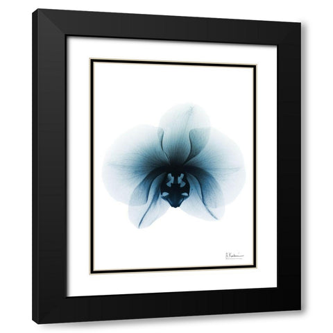 Glacial Orchid 1 RC Black Modern Wood Framed Art Print with Double Matting by Koetsier, Albert