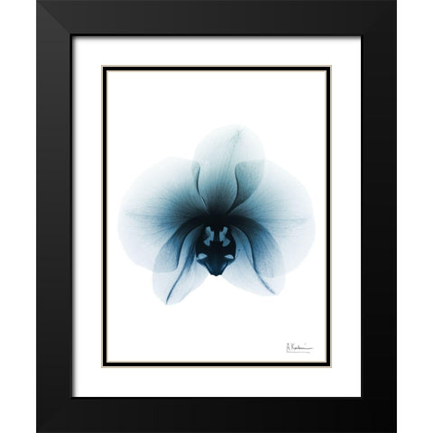 Glacial Orchid 1 RC Black Modern Wood Framed Art Print with Double Matting by Koetsier, Albert