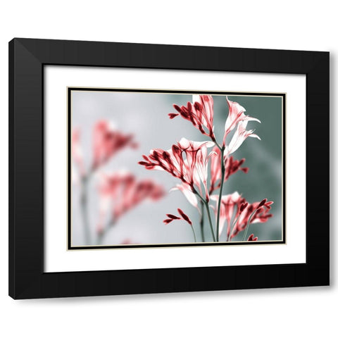 Unfocused Beauty 1 Black Modern Wood Framed Art Print with Double Matting by Koetsier, Albert