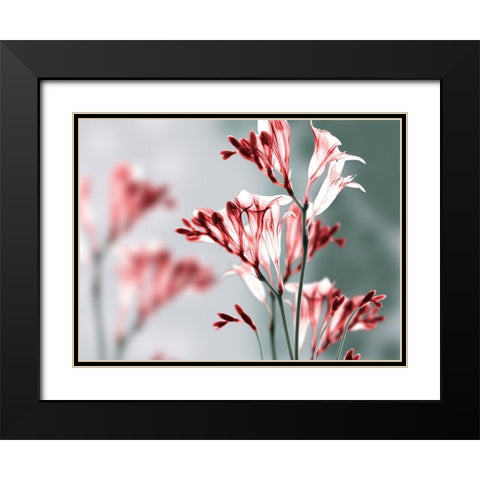 Unfocused Beauty 1 Black Modern Wood Framed Art Print with Double Matting by Koetsier, Albert