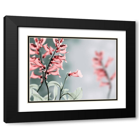 Unfocused Beauty 2 Black Modern Wood Framed Art Print with Double Matting by Koetsier, Albert