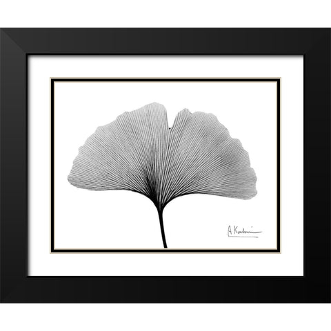 Inverted Ginko 1 Black Modern Wood Framed Art Print with Double Matting by Koetsier, Albert