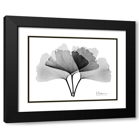 Inverted Ginko 2 Black Modern Wood Framed Art Print with Double Matting by Koetsier, Albert