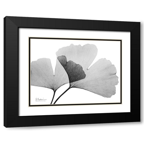 Inverted Ginko 3 Black Modern Wood Framed Art Print with Double Matting by Koetsier, Albert