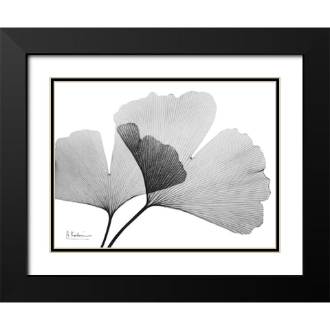 Inverted Ginko 3 Black Modern Wood Framed Art Print with Double Matting by Koetsier, Albert