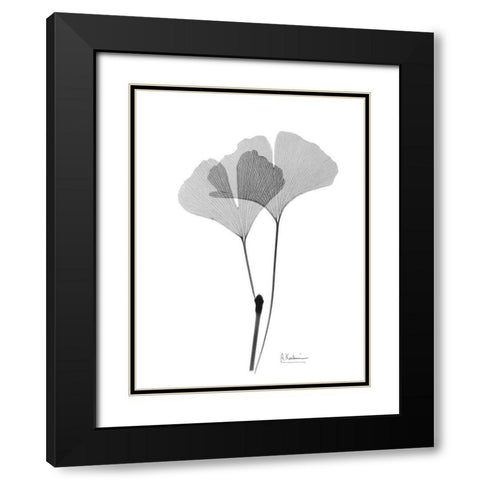 Inverted Ginko 4 Black Modern Wood Framed Art Print with Double Matting by Koetsier, Albert