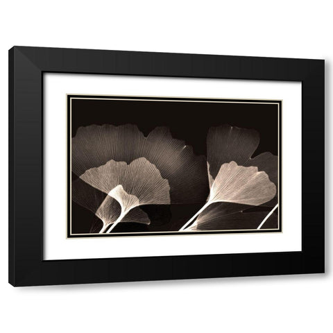 Chocolate Ginko Black Modern Wood Framed Art Print with Double Matting by Koetsier, Albert