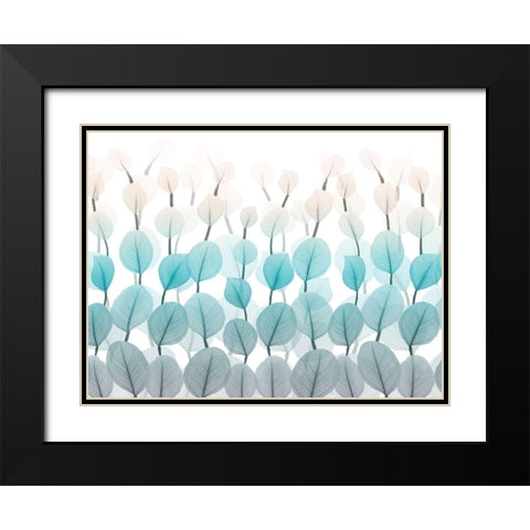 Spring Skyward 1 Black Modern Wood Framed Art Print with Double Matting by Koetsier, Albert