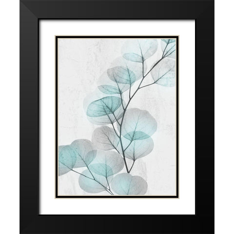 Eucalyptus Glow 4 Black Modern Wood Framed Art Print with Double Matting by Koetsier, Albert