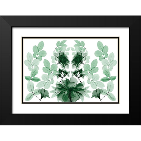 Emerald Growth 1 Black Modern Wood Framed Art Print with Double Matting by Koetsier, Albert