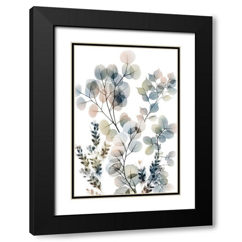 Vibrant Bouquet 2 Black Modern Wood Framed Art Print with Double Matting by Koetsier, Albert