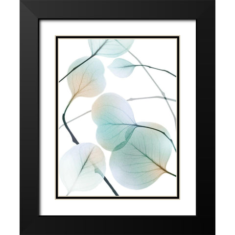 Sunkissed Eternity 2 Black Modern Wood Framed Art Print with Double Matting by Koetsier, Albert