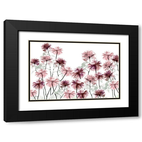 Magnificent Flower Bed 1 Black Modern Wood Framed Art Print with Double Matting by Koetsier, Albert