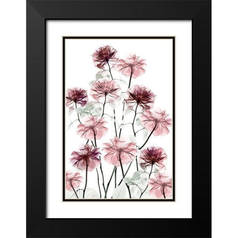 Magnificent Flower Bed 2 Black Modern Wood Framed Art Print with Double Matting by Koetsier, Albert