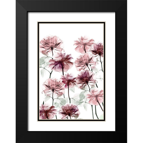 Magnificent Flower Bed 3 Black Modern Wood Framed Art Print with Double Matting by Koetsier, Albert