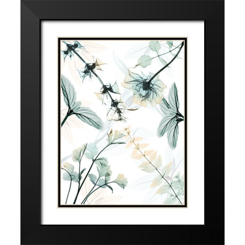 Reaching Beauty 2 Black Modern Wood Framed Art Print with Double Matting by Koetsier, Albert