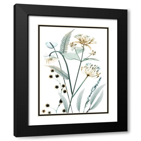 Proud Growth 1 Black Modern Wood Framed Art Print with Double Matting by Koetsier, Albert