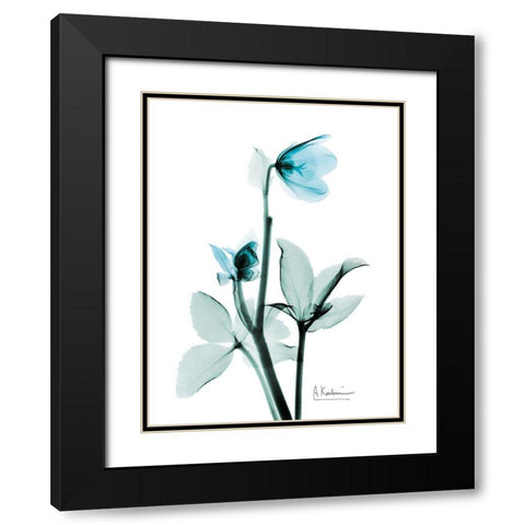 Aqua Helle Borus Black Modern Wood Framed Art Print with Double Matting by Koetsier, Albert