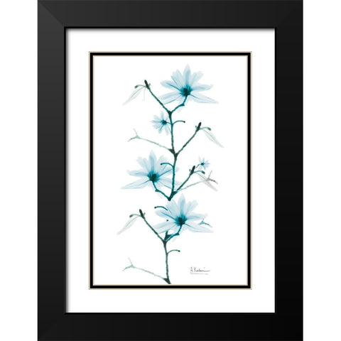 Aqua Beautiful Growth Black Modern Wood Framed Art Print with Double Matting by Koetsier, Albert