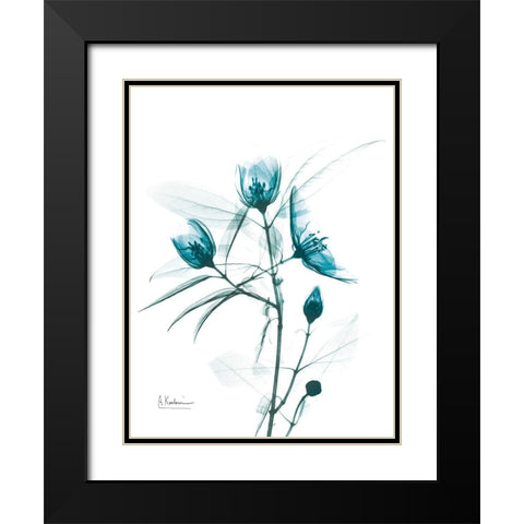 Aqua Beautiful Gowth 2 Black Modern Wood Framed Art Print with Double Matting by Koetsier, Albert