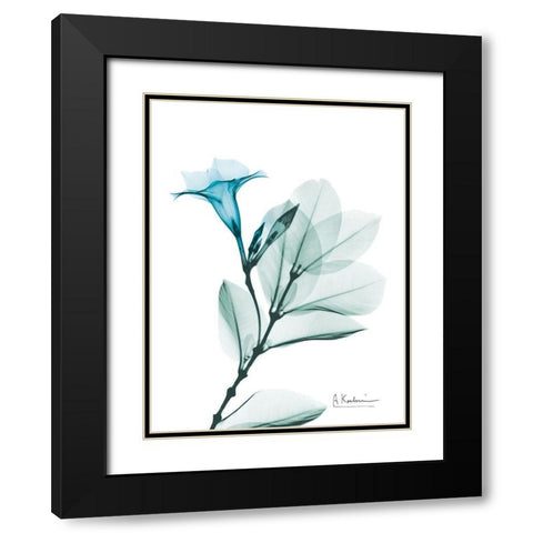 Aqua Mandelilla Black Modern Wood Framed Art Print with Double Matting by Koetsier, Albert