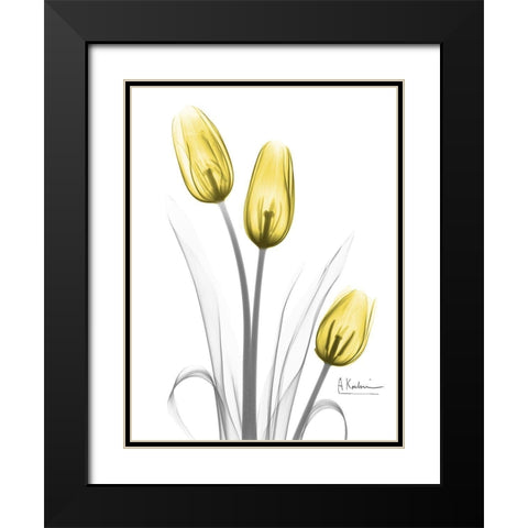 Illuminating Tulip Trio Black Modern Wood Framed Art Print with Double Matting by Koetsier, Albert