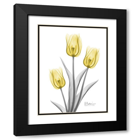 Illuminating Tulip Trio 2 Black Modern Wood Framed Art Print with Double Matting by Koetsier, Albert