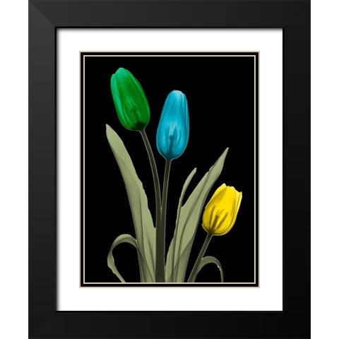 Jeweled Tulip Trio 3 Black Modern Wood Framed Art Print with Double Matting by Koetsier, Albert