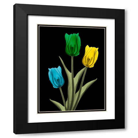 Jeweled Tulip Trio 4 Black Modern Wood Framed Art Print with Double Matting by Koetsier, Albert