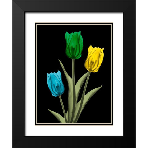 Jeweled Tulip Trio 4 Black Modern Wood Framed Art Print with Double Matting by Koetsier, Albert