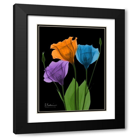 Jewel Gentian Buddies 3 Black Modern Wood Framed Art Print with Double Matting by Koetsier, Albert