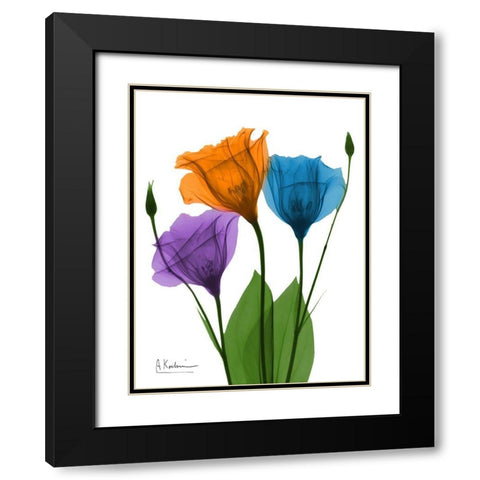 Jewel Gentian Buddies 1 Black Modern Wood Framed Art Print with Double Matting by Koetsier, Albert